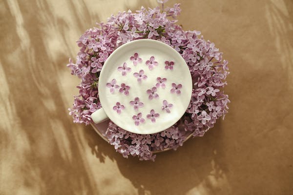 12 PC Emerald Bohemian Tea Set